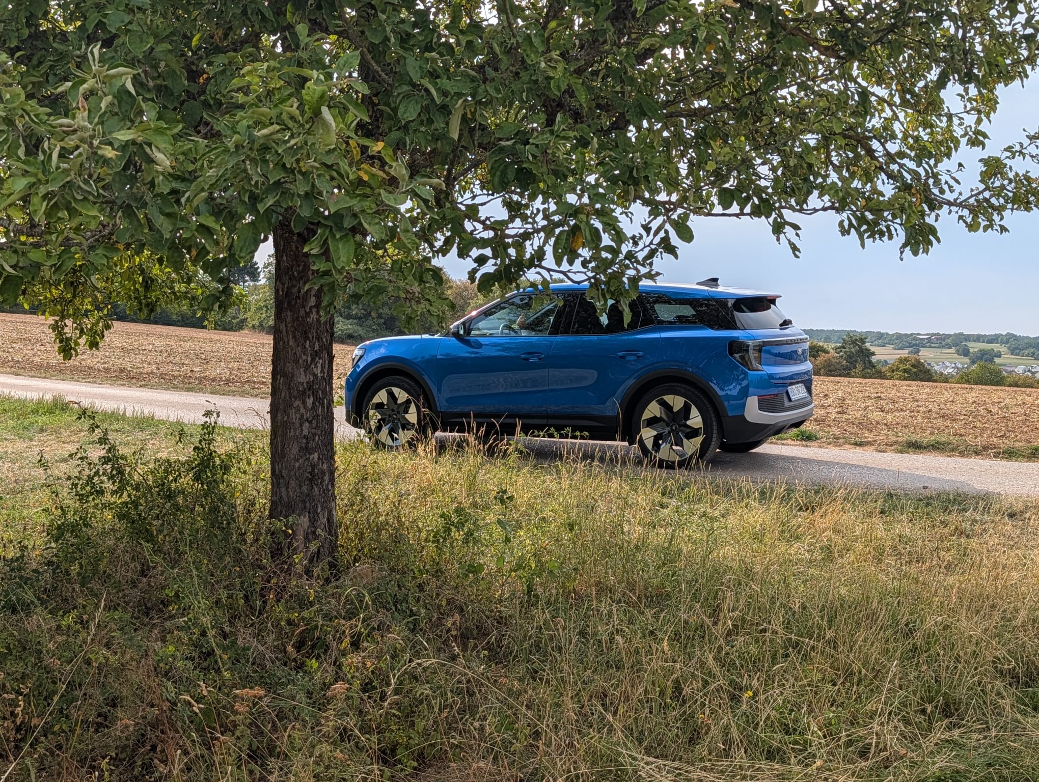 Hängt ein Baum im Auto ......
